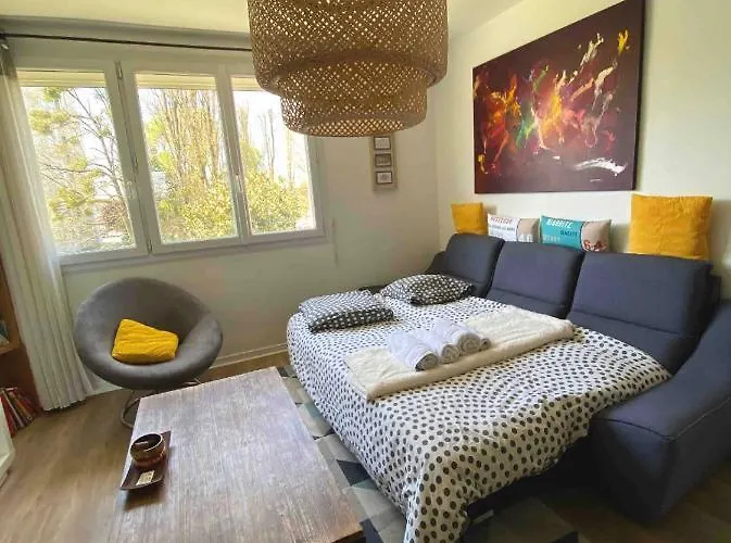 Апартаменти Superbe Au Calme Avec Parking Gratuit. Мериньяк