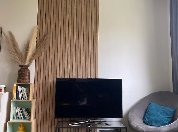 Апартаменти Superbe Au Calme Avec Parking Gratuit. Мериньяк